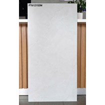Gạch ốp lát Taicera 60x120 mờ FT612152M