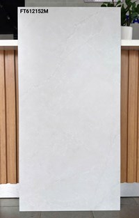 Gạch ốp lát Taicera 60x120 mờ FT612152M