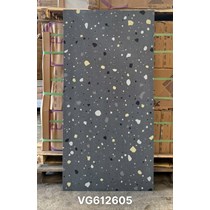 Gạch Royal Hoàng Gia 60x120 mờ VG612605