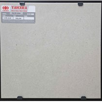 Gạch lát nền Taicera 30x30 G38L40JF