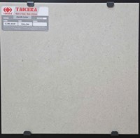 Gạch lát nền Taicera 30x30 G38L40JF
