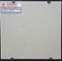 Gạch lát nền Taicera 30x30 G38L40JF