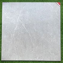 Gạch lát nền Prime 100x100 OV21012 mờ