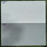 Đá ốp tường Vitaly 30x60 mờ TK3602N-TK3602D