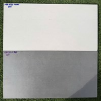 Đá ốp tường Vitaly 30x60 mờ HPD3629N-HPD3631D