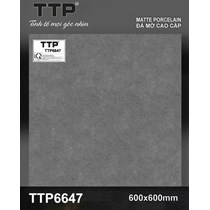 Gạch lát nền Tô Thành Phát 60x60 mờ TTP6647
