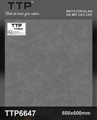 Gạch lát nền Tô Thành Phát 60x60 mờ TTP6647