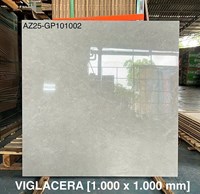 Gạch Viglacera 100x100 AZ25-GP101002