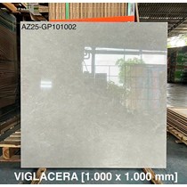 Gạch Viglacera 100x100 AZ25-GP101002