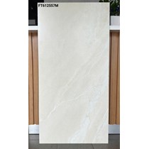 Gạch ốp lát Taicera 60x120 mờ FT612557M