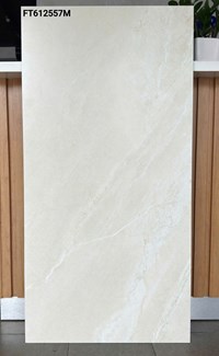 Gạch ốp lát Taicera 60x120 mờ FT612557M