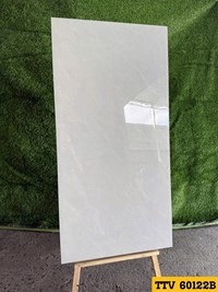Gạch Ấn Độ 60x120 bóng TTV60122B
