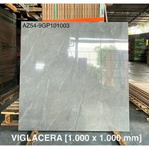 Gạch Viglacera 100x100 AZ54-9GP101003