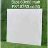 Gạch lát nền Tasa 60x60 mờ FST.5263