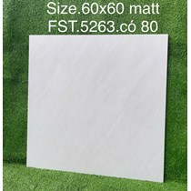 Gạch lát nền Tasa 60x60 mờ FST.5263
