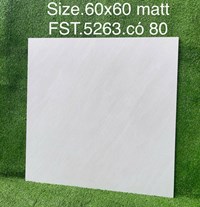 Gạch lát nền Tasa 60x60 mờ FST.5263