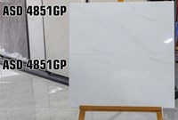 Gạch ốp tường Viglacera 40x80 bóng ASD 4851GP