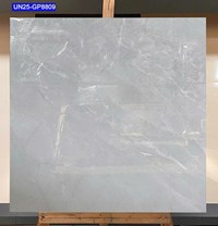 Gạch lát nền Viglacera 80x80 UN25-GP8809