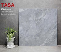 Gạch lát nền Tasa 120x120 9504