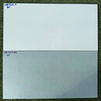 Đá ốp tường Vitaly 30x60 mờ HPD3622N-HPD3625D