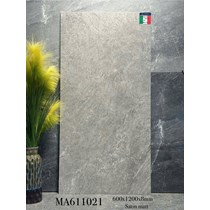 Gạch ốp lát Apodio 60x120 mờ MA611021