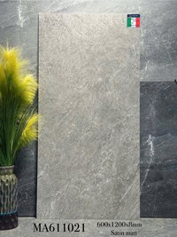Gạch ốp lát Apodio 60x120 mờ MA611021
