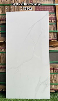 Gạch ốp lát Á Mỹ 60x120 CT6802