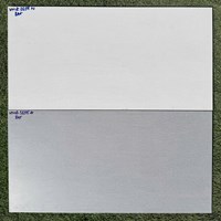 Đá ốp tường Vitaly 30x60 mờ VNZ3655N-VNZ3655D
