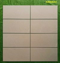Gạch ốp tường Apodio 30x60 mờ A36NB302