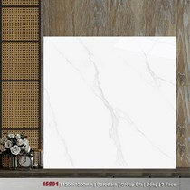 Gạch lát nền Catalan 120x120 15801