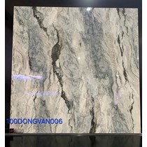 Gạch lát nền Đồng Tâm 100DONGVAN006