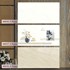 Gạch ốp tường Catalan 30x60 bóng 36515-36517-36516
