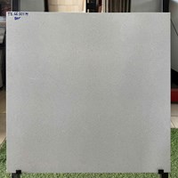 Gạch lát nền Vitaly 60x60 mờ TK66301M
