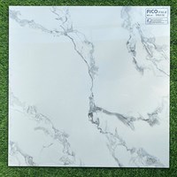 Đá bóng kính giá rẻ 600x600 FP6116