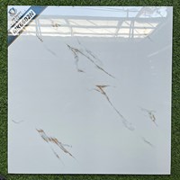 Đá bóng kính giá rẻ 600x600 MK6602N