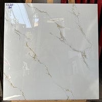 Đá bóng kính giá rẻ 60x60 Mikado CL6661