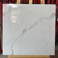 Đá bóng kính giá rẻ 60x60 Mikado VDL609