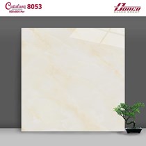 Gạch lát nền giá rẻ 80x80 Catalan 8053