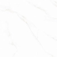 Đá bóng kính toàn phần Prime 60x60 17005