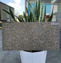 Đá đồng chất lát sân vườn 30x60 HA306059