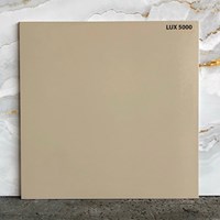 Đá lát sân vườn 50x50 LUX5000