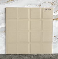 Đá lát sân vườn 50x50 LUX5008