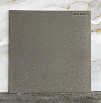 Đá lát sân vườn 50x50 LUX5200G