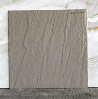 Đá lát sân vườn 50x50 LUX5206G
