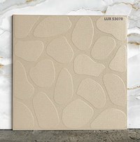 Đá lát sân vườn 50x50 LUX5307R