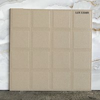 Đá lát sân vườn 50x50 LUX5308R