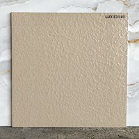 Đá lát sân vườn 50x50 LUX5314R