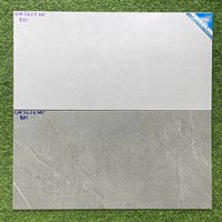 Đá mờ 30x60 Viglacera GM3625-3626