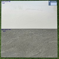 Đá mờ bán sứ 30x60 Viglacera VHP3611-3612