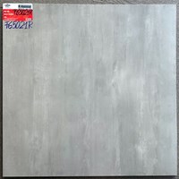 Đá mờ lát nền 60x60 Ý Mỹ F65021R